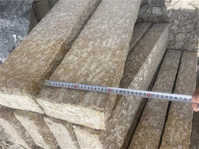 Granit Palisaden 100x25x8