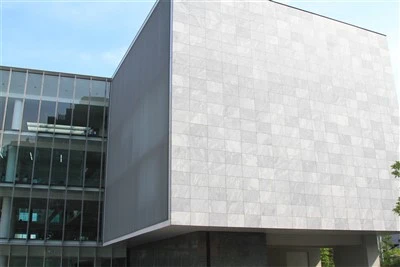 Gri Granite Eksteryè Cladding