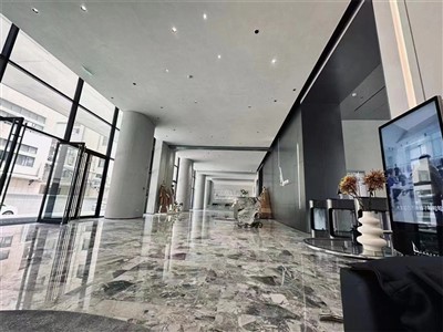 Modern Living Room Floor Carreaux